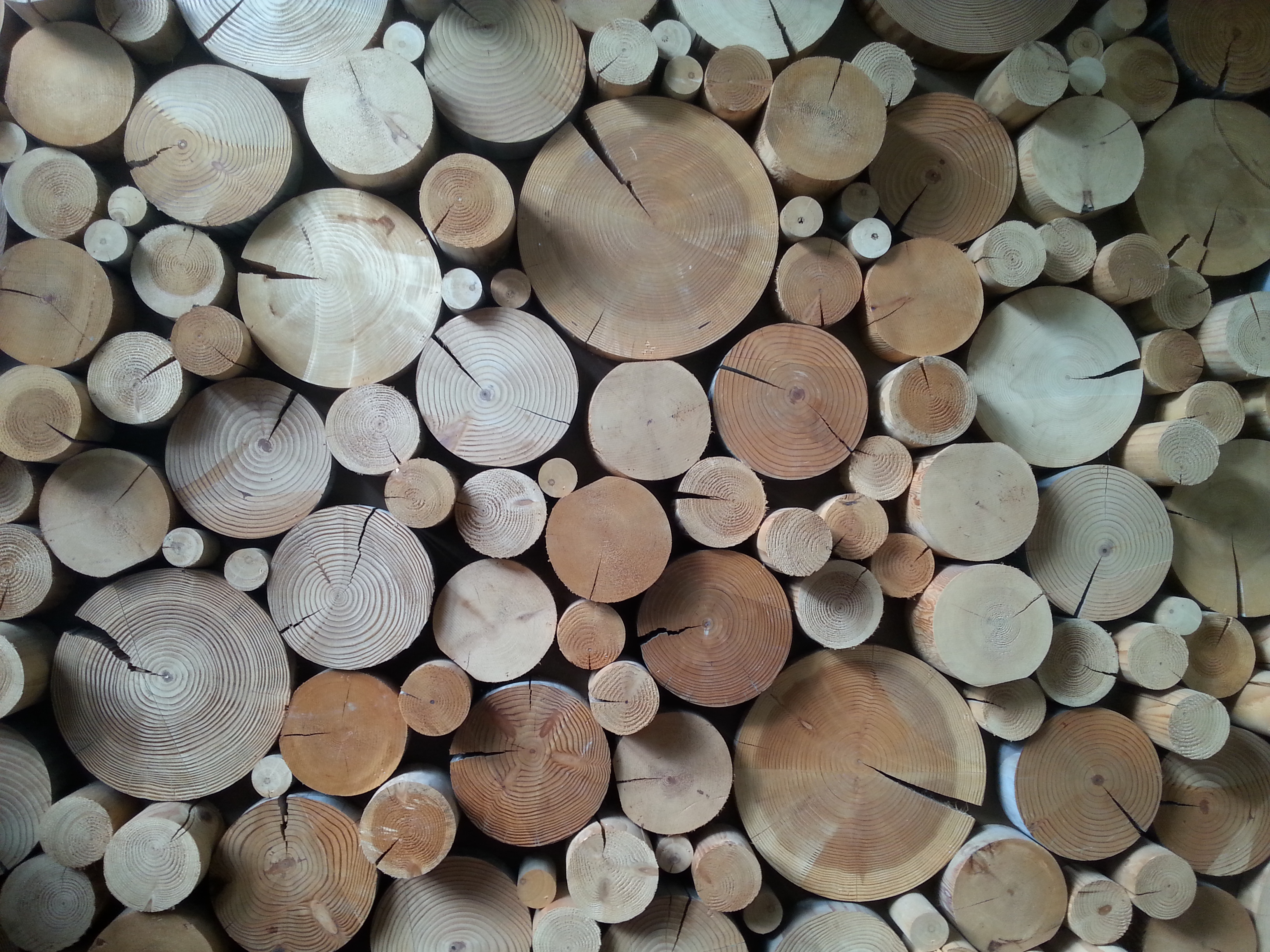 사용자 업로드 이미지