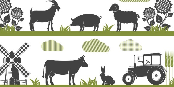 사용자 업로드 이미지