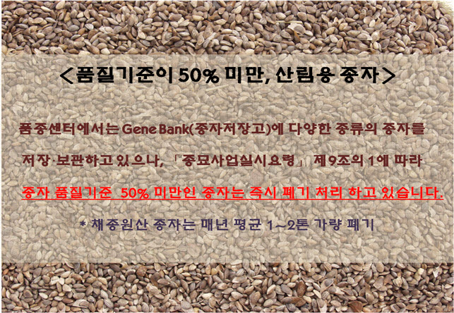 사용자 업로드 이미지