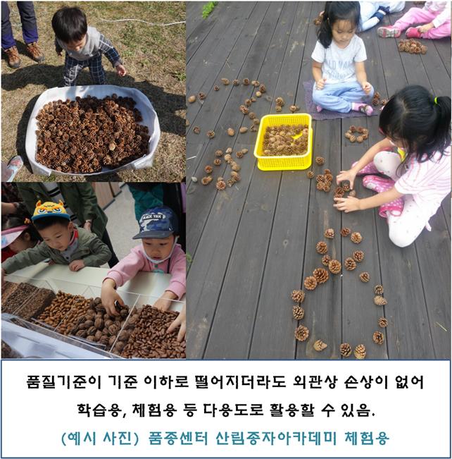 사용자 업로드 이미지