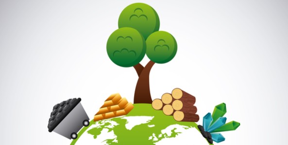 사용자 업로드 이미지