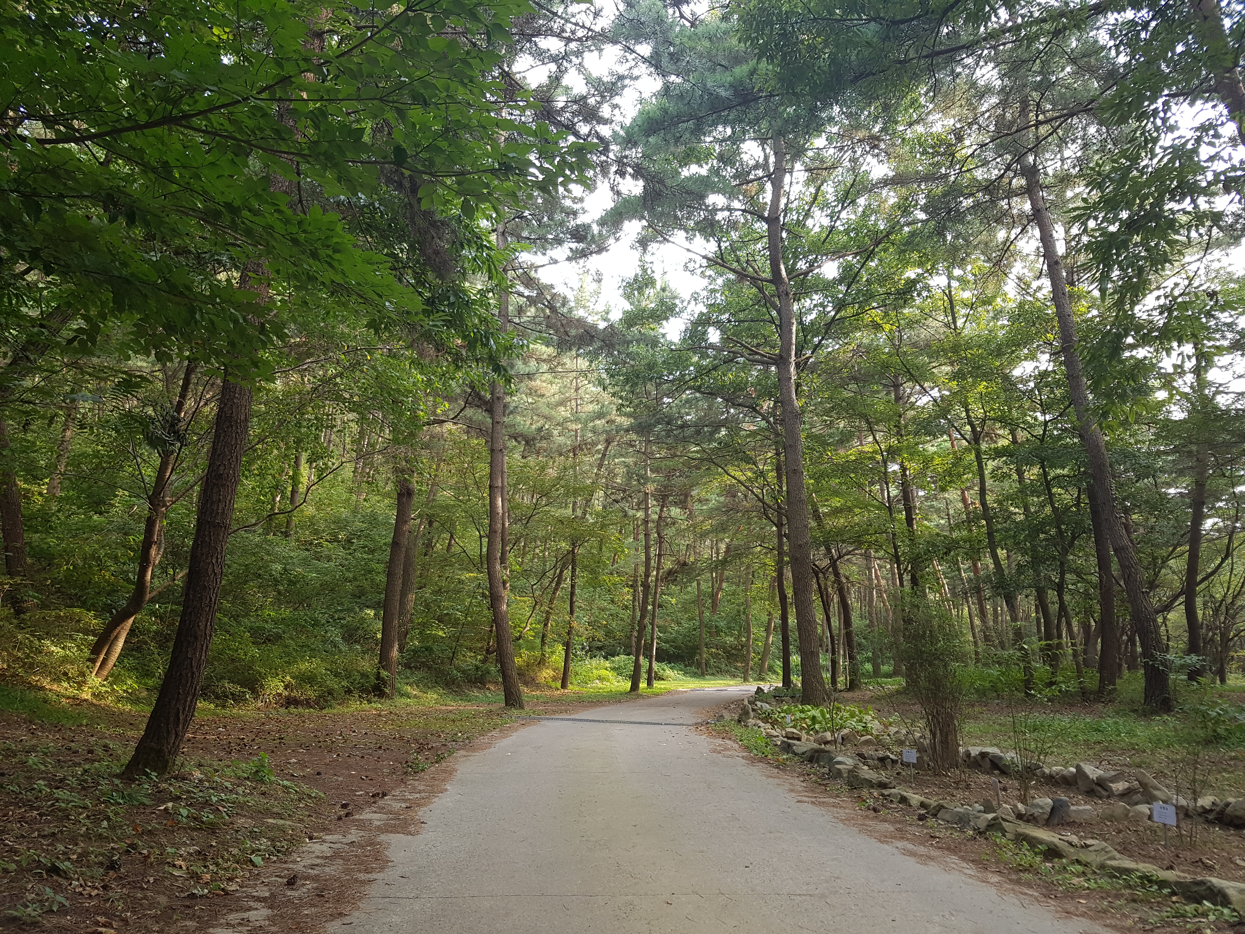 사용자 업로드 이미지
