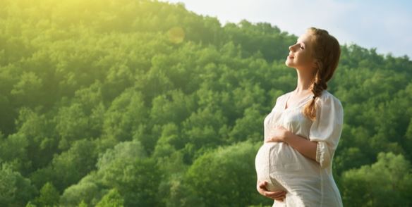 사용자 업로드 이미지