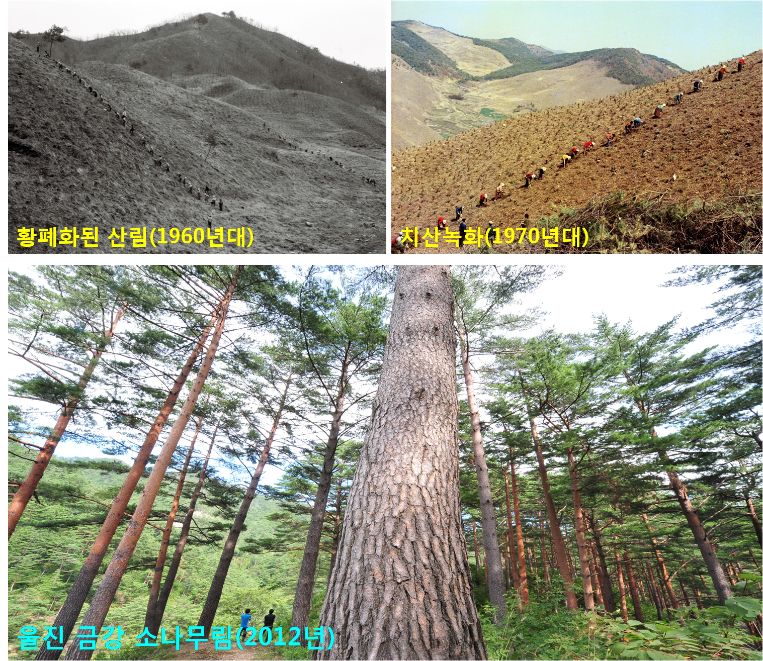 사용자 업로드 이미지