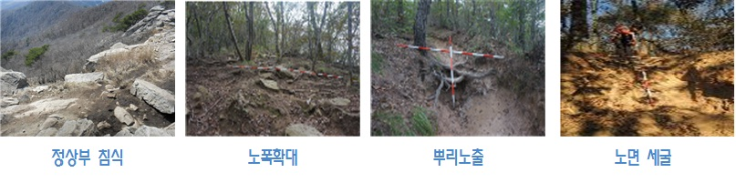 사용자 업로드 이미지