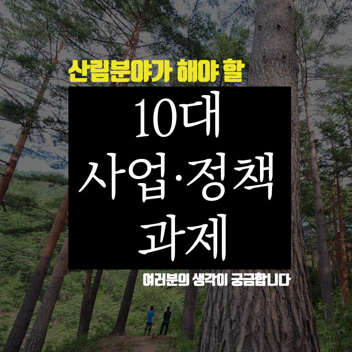 사용자 업로드 이미지