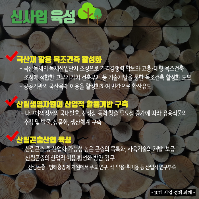 사용자 업로드 이미지