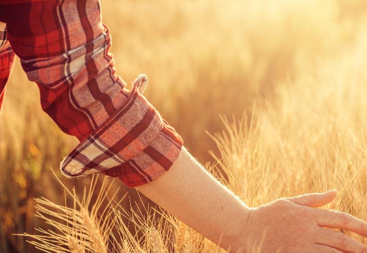 사용자업로드이미지