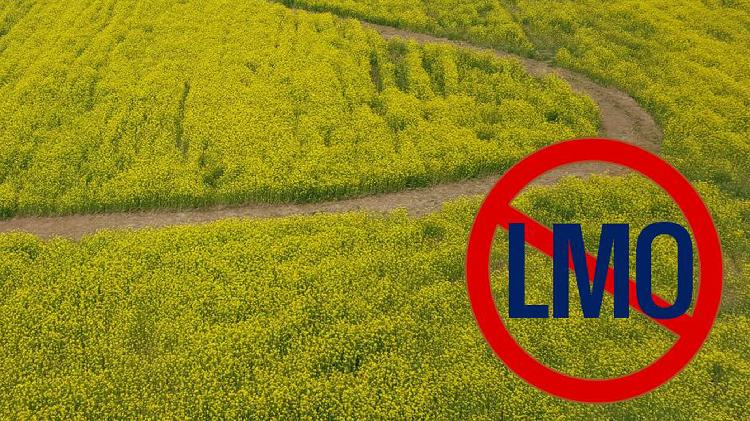 사용자업로드이미지