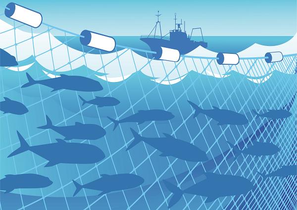 사용자업로드이미지