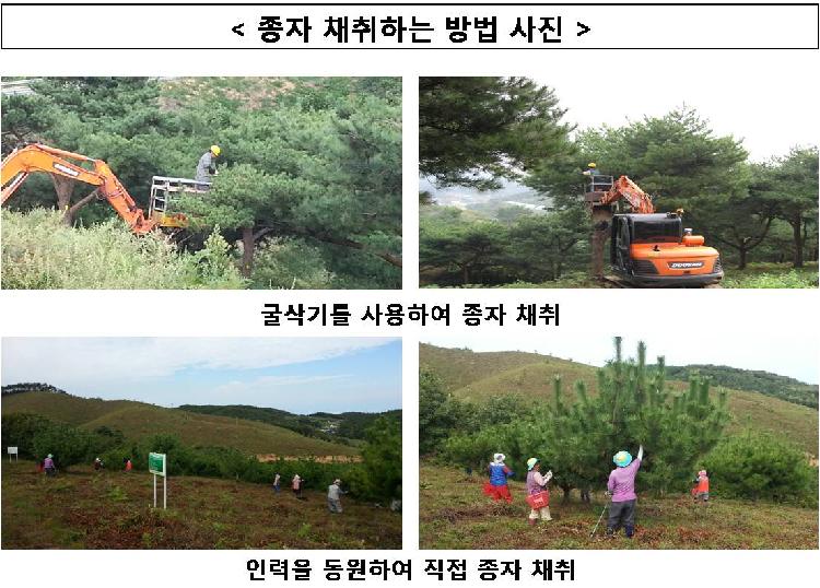 사용자업로드이미지