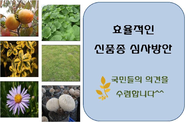 사용자업로드이미지
