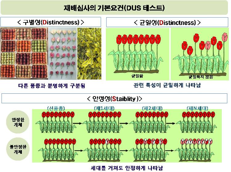 사용자업로드이미지