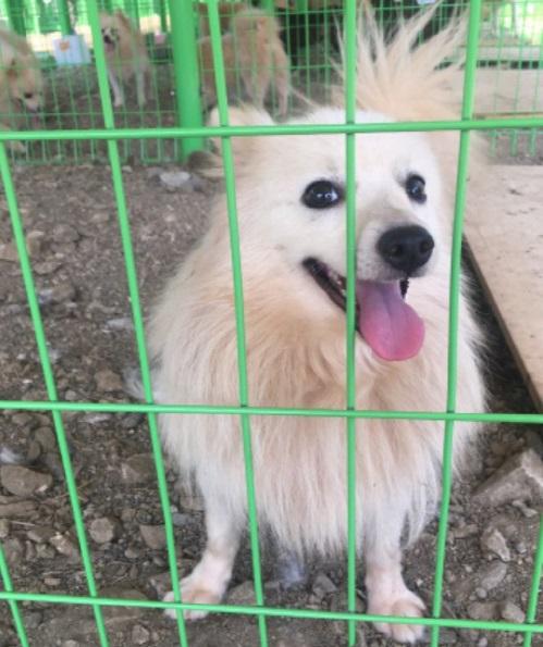 사용자업로드이미지