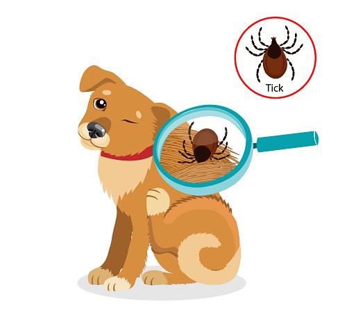 사용자업로드이미지