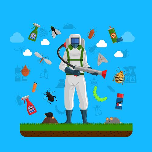 사용자업로드이미지