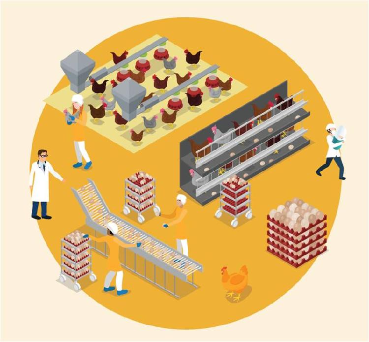 사용자업로드이미지