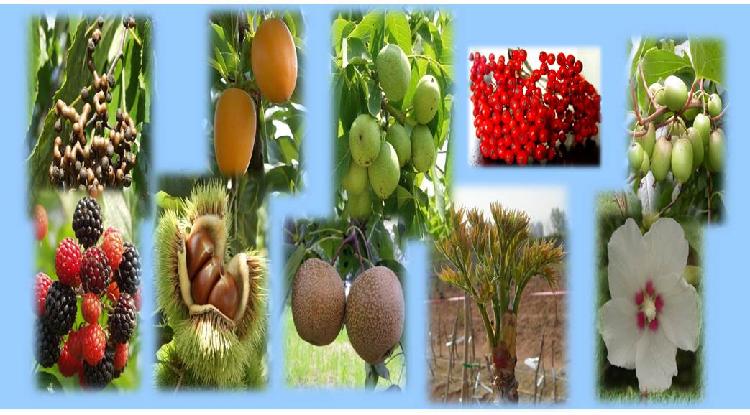 사용자업로드이미지