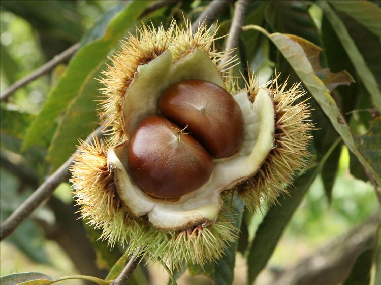 사용자업로드이미지