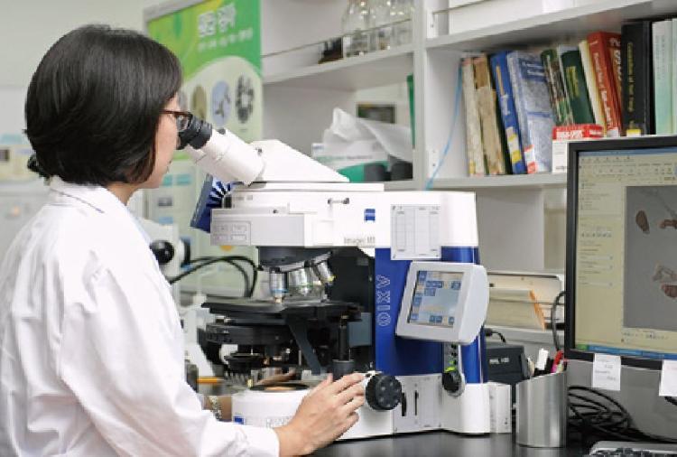 사용자업로드이미지