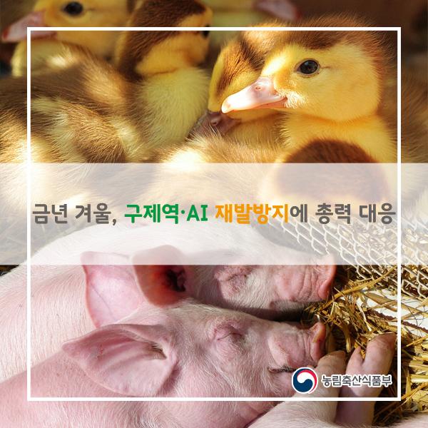 사용자업로드이미지
