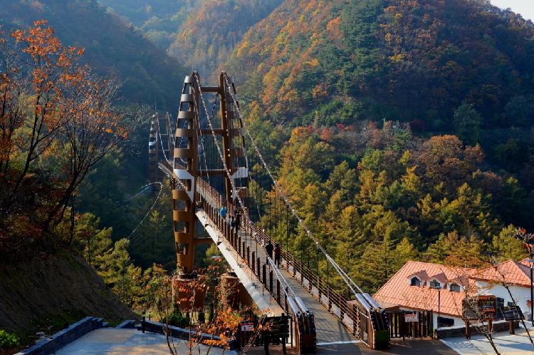 사용자업로드이미지