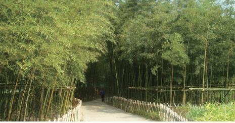 사용자업로드이미지