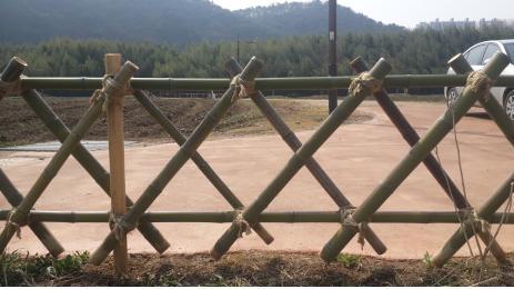 사용자업로드이미지