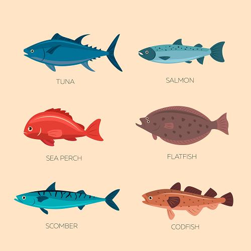 사용자업로드이미지