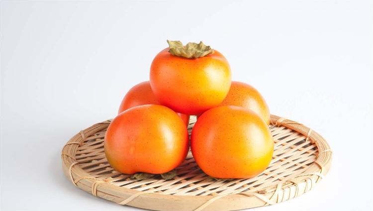 사용자업로드이미지