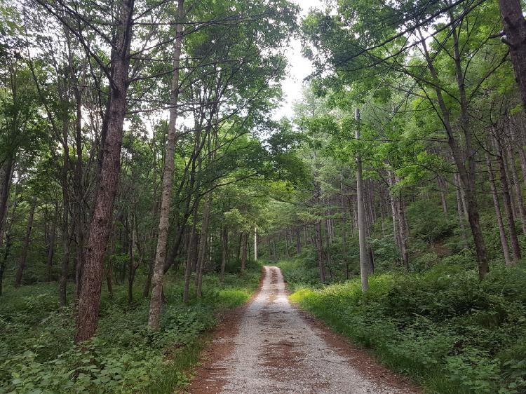 사용자업로드이미지