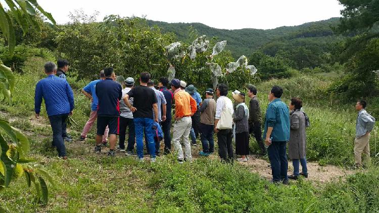 사용자업로드이미지