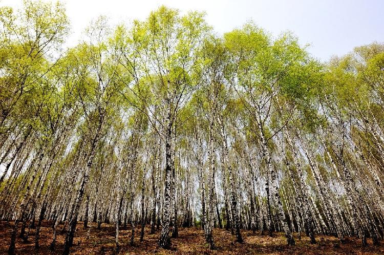 사용자업로드이미지
