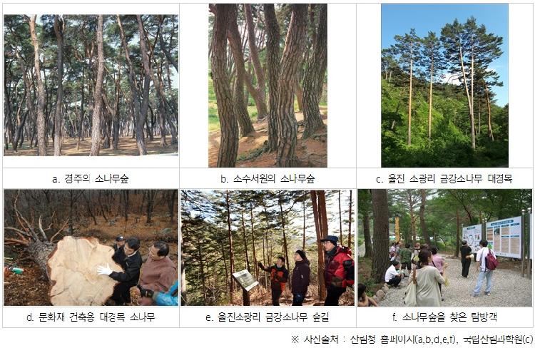 사용자업로드이미지