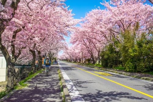 사용자업로드이미지