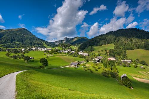사용자업로드이미지