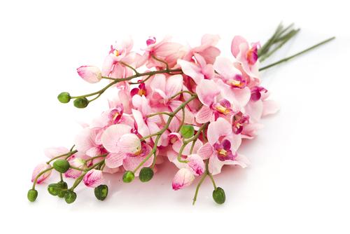 사용자업로드이미지