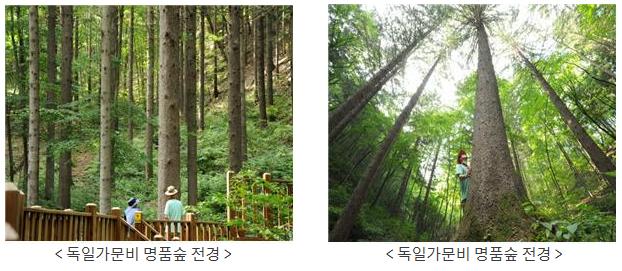 사용자업로드이미지