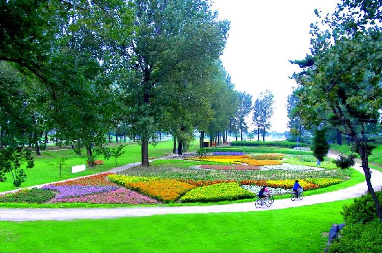 사용자업로드이미지