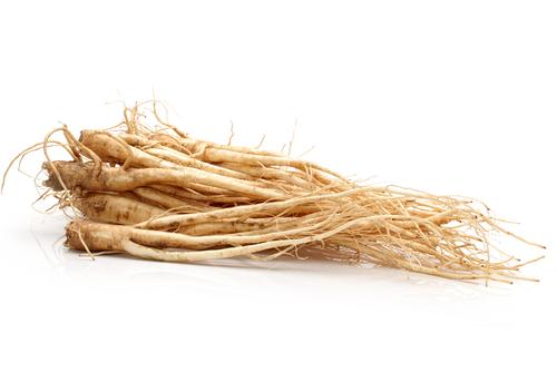 사용자업로드이미지