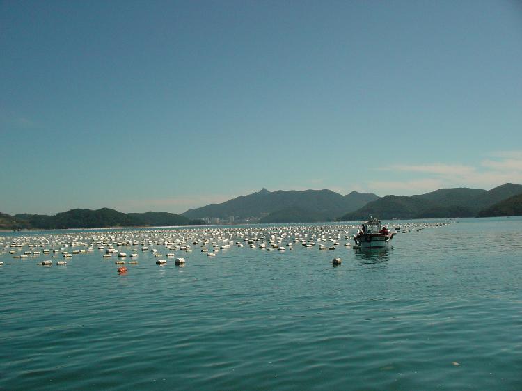 사용자업로드이미지