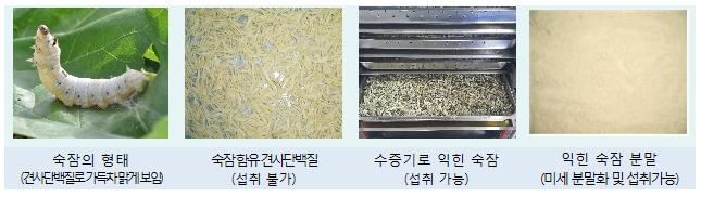 사용자업로드이미지