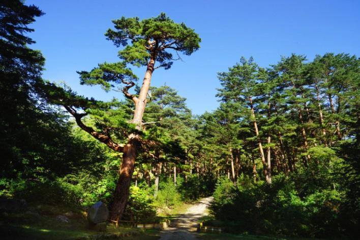 사용자업로드이미지