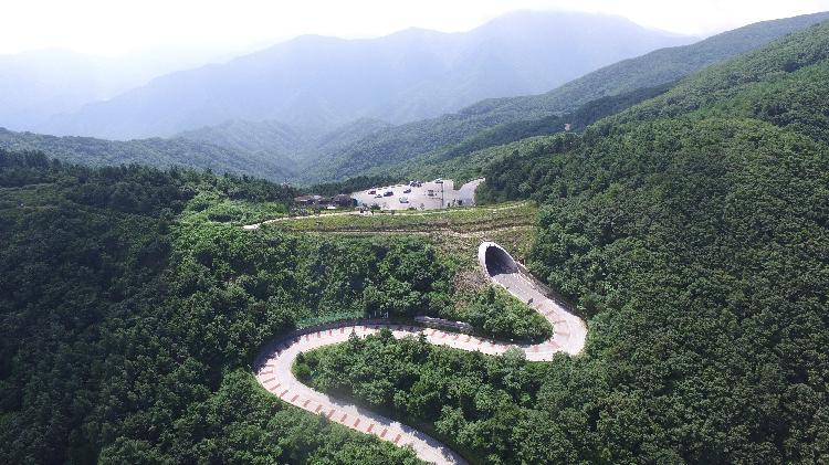 사용자업로드이미지