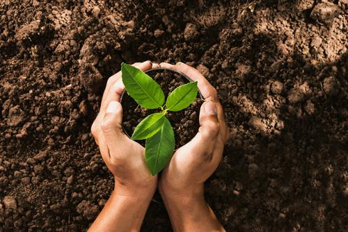 사용자업로드이미지