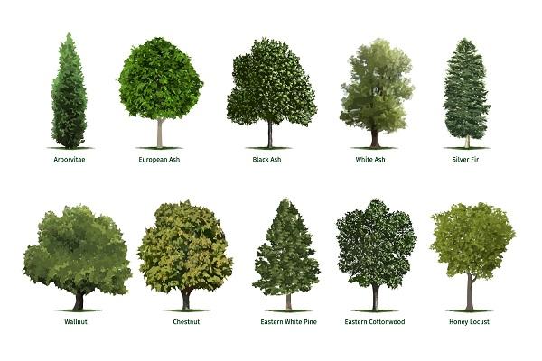 사용자업로드이미지