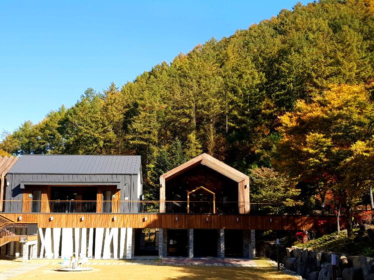 사용자업로드이미지