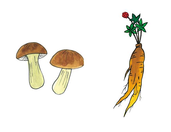 사용자업로드이미지