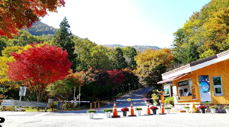 사용자업로드이미지
