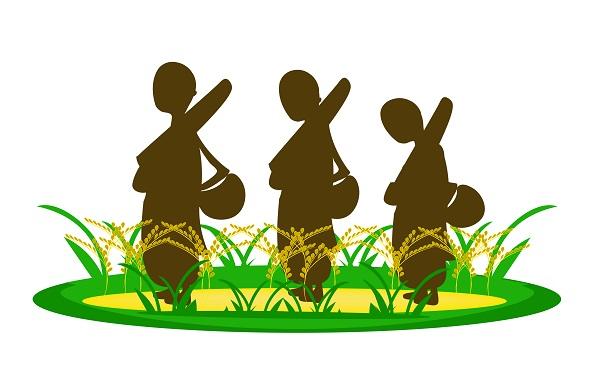 사용자업로드이미지